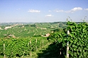 Piemont 2009  397